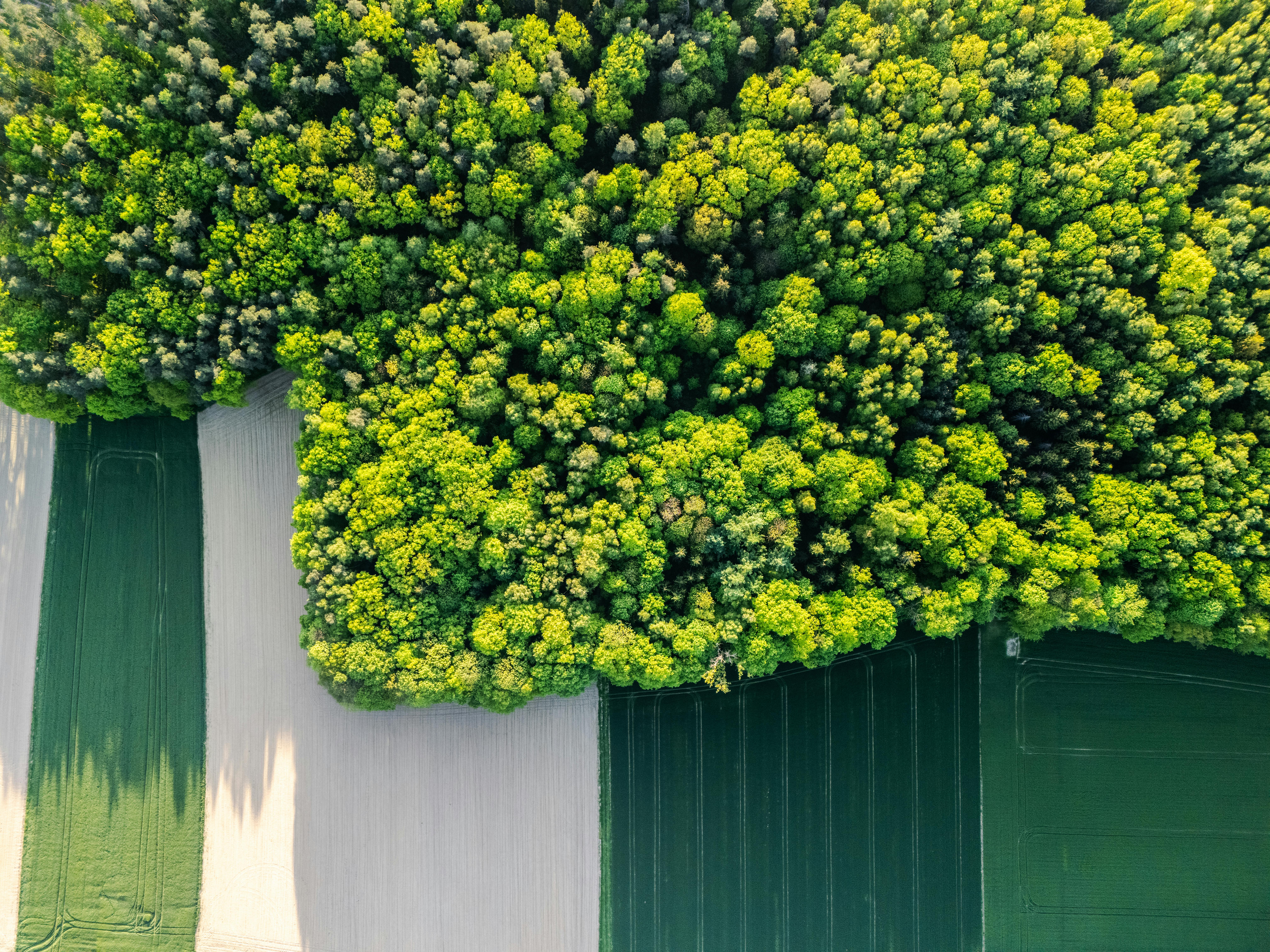 Innovative Sustainable Business Solutions for a Greener Future