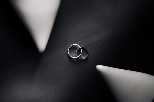 Minimalist design featuring two intertwined wedding rings on a black and white abstract backdrop.
