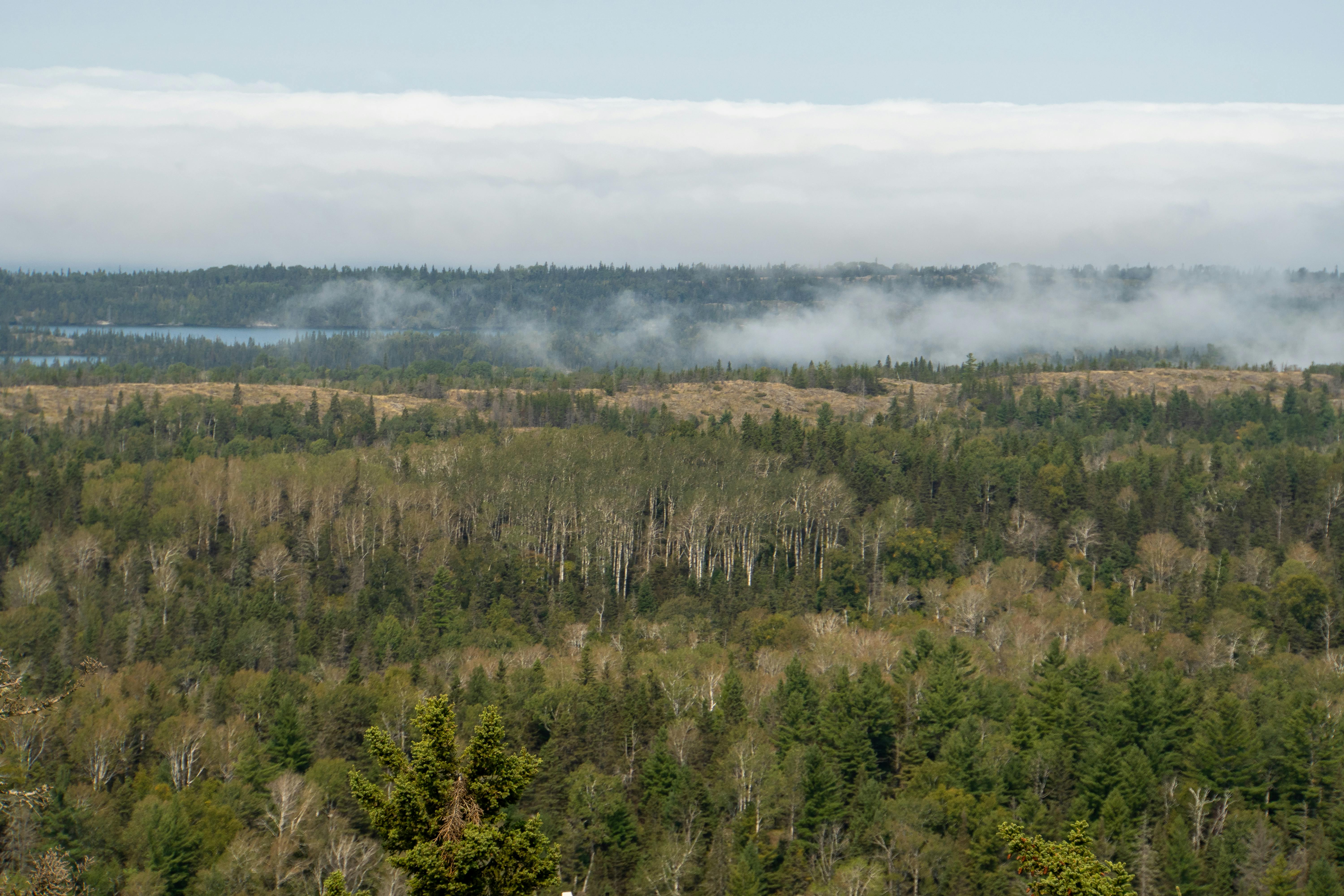 Isle Royale National Park Wilderness Scenery With Dense Boreal Forests, Wolves And Moose, Rugged Hiking Trails, And Cold Waters With Shipwrecks
