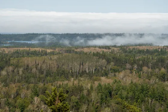 The Greenstone Ridge Trail running the spine of Isle Royale