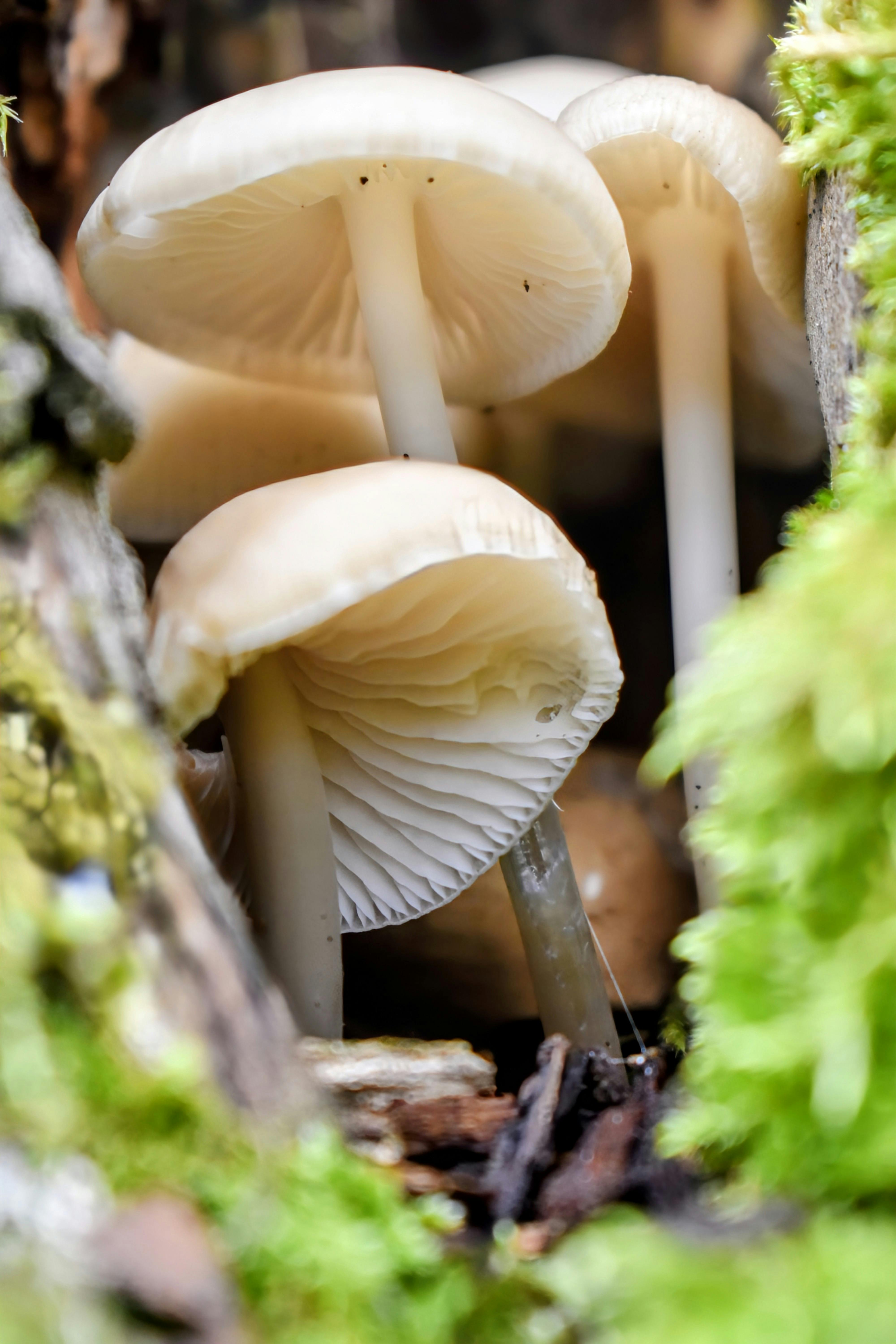 trang cá cược uy tín-03 hôm sau đánh 95-30 nên đánh mạnh tay PG88S.IO - Cơ hội sinh lời lớn từ chiến lược chơi lô đề độc đáo