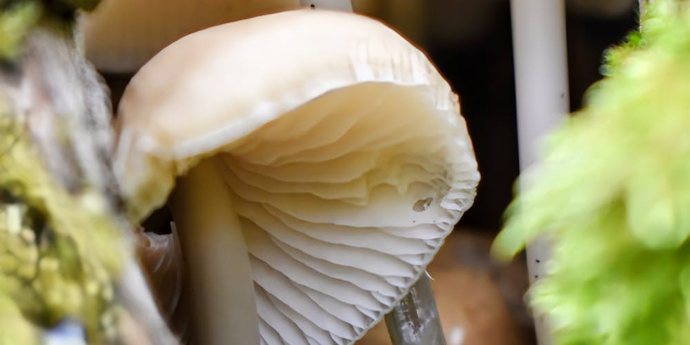 trang cá cược uy tín-03 hôm sau đánh 95-30 buộc phải đánh thẳng cánh PG88S.IO - Cơ hội phát sinh lợi nhuận béo trong khoảng chiến lược nghịch lô đề kì lạ