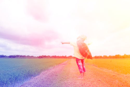 Free stock photo of active, asian, asian boy