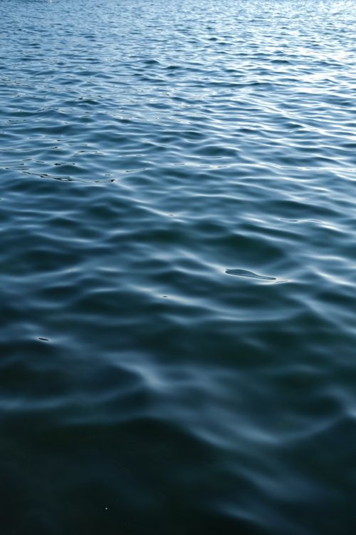 Free Calm blue rippling water viewed outdoors in Büyükçekmece, Istanbul, Türkiye. Stock Photo