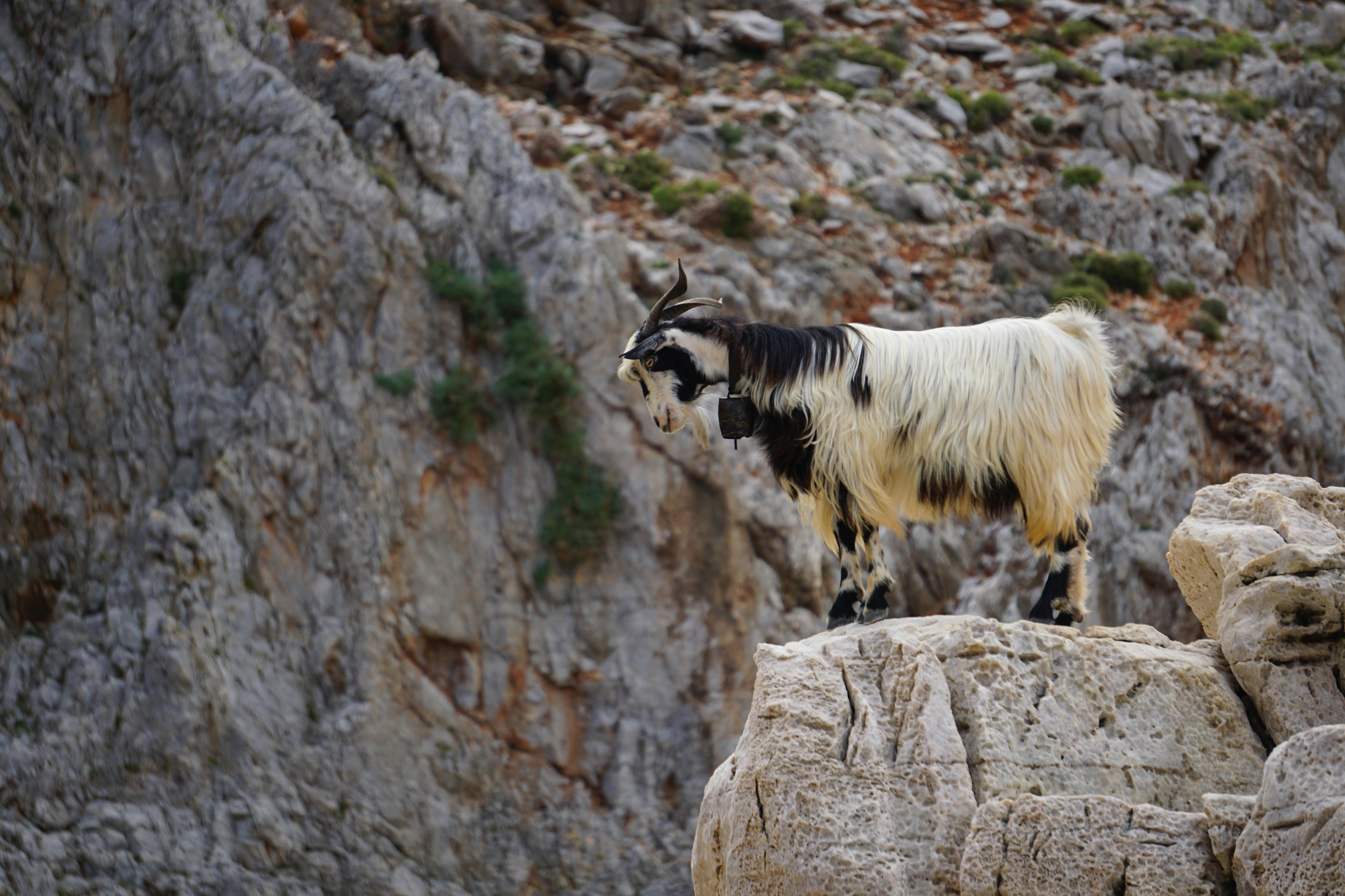 Effective Remote Team Engagement Strategies