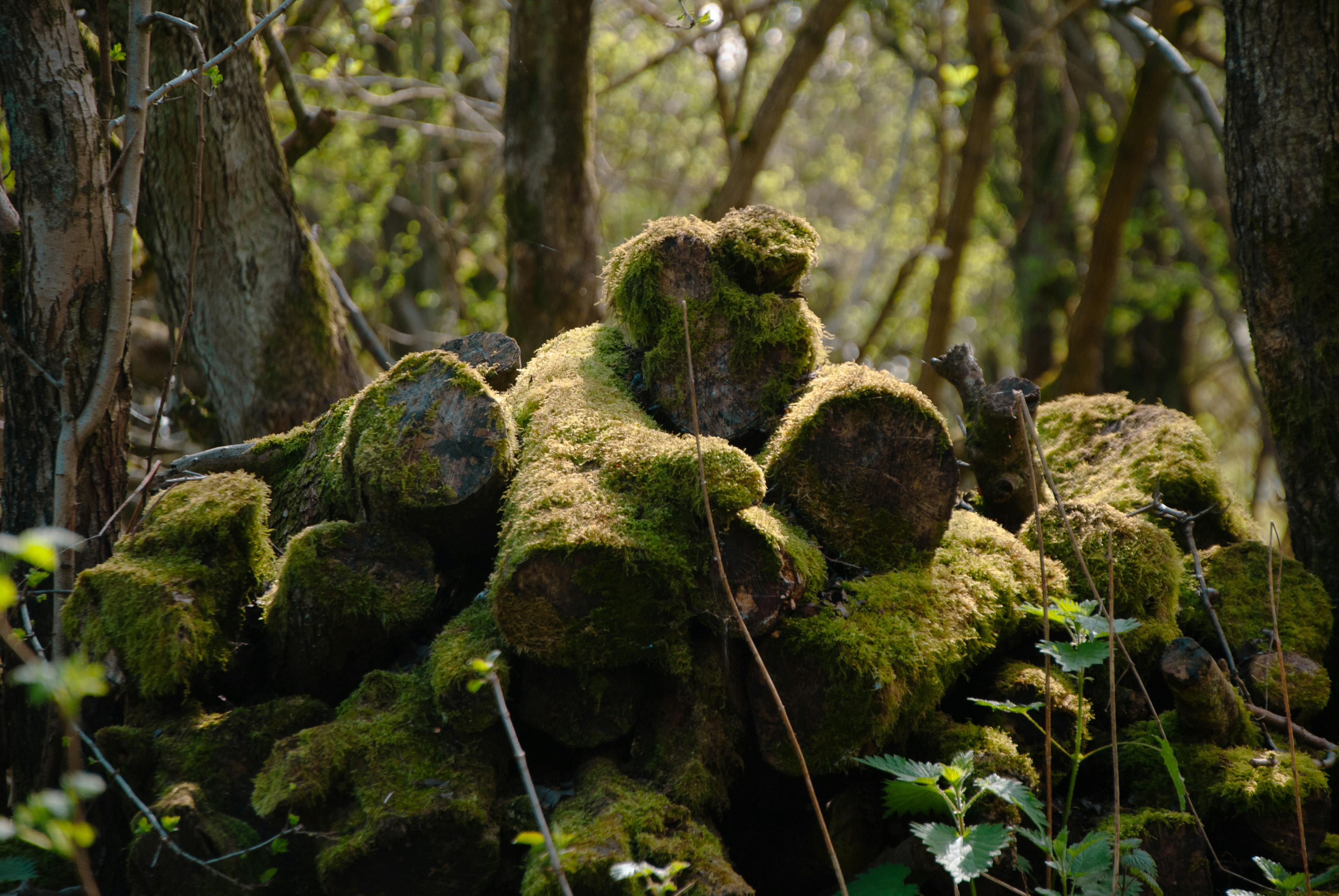南俊國際10月營收創新高，GB系列出貨持續增長