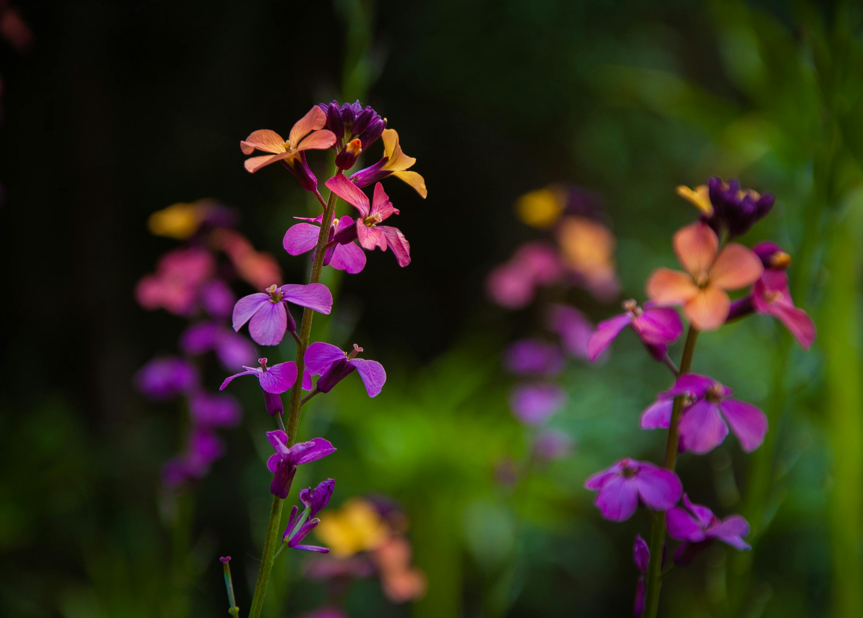 Image : Your Business's Secret Weapon: Why Great UX Isn't Just Pretty, It's Profitable