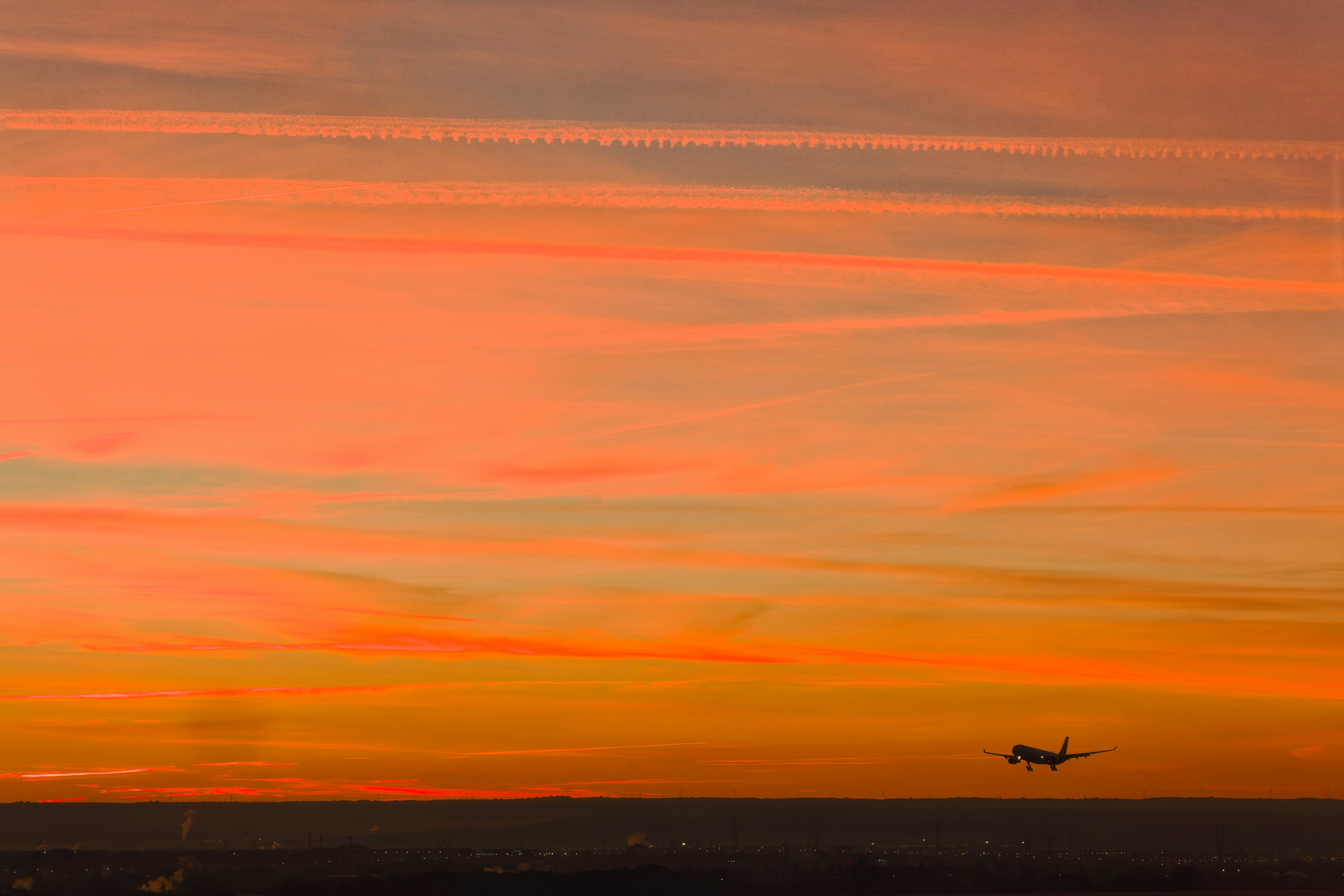 財經：莊正賢解析普發1萬商機：出國旅遊與航空業受惠最大
