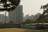 Seoul Cityscape with Autumn Trees and Buildings