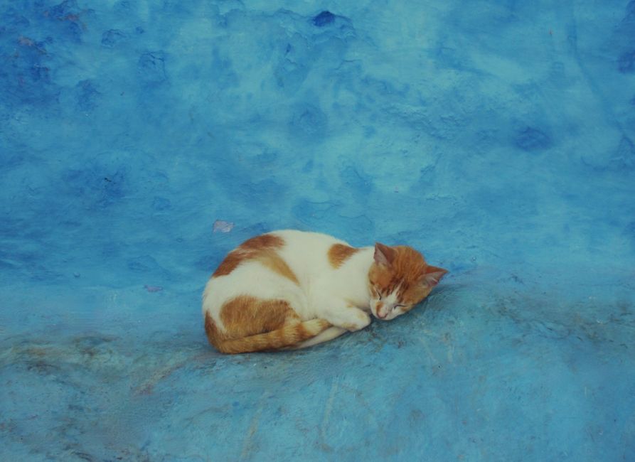 top activities and food in chefchaouen