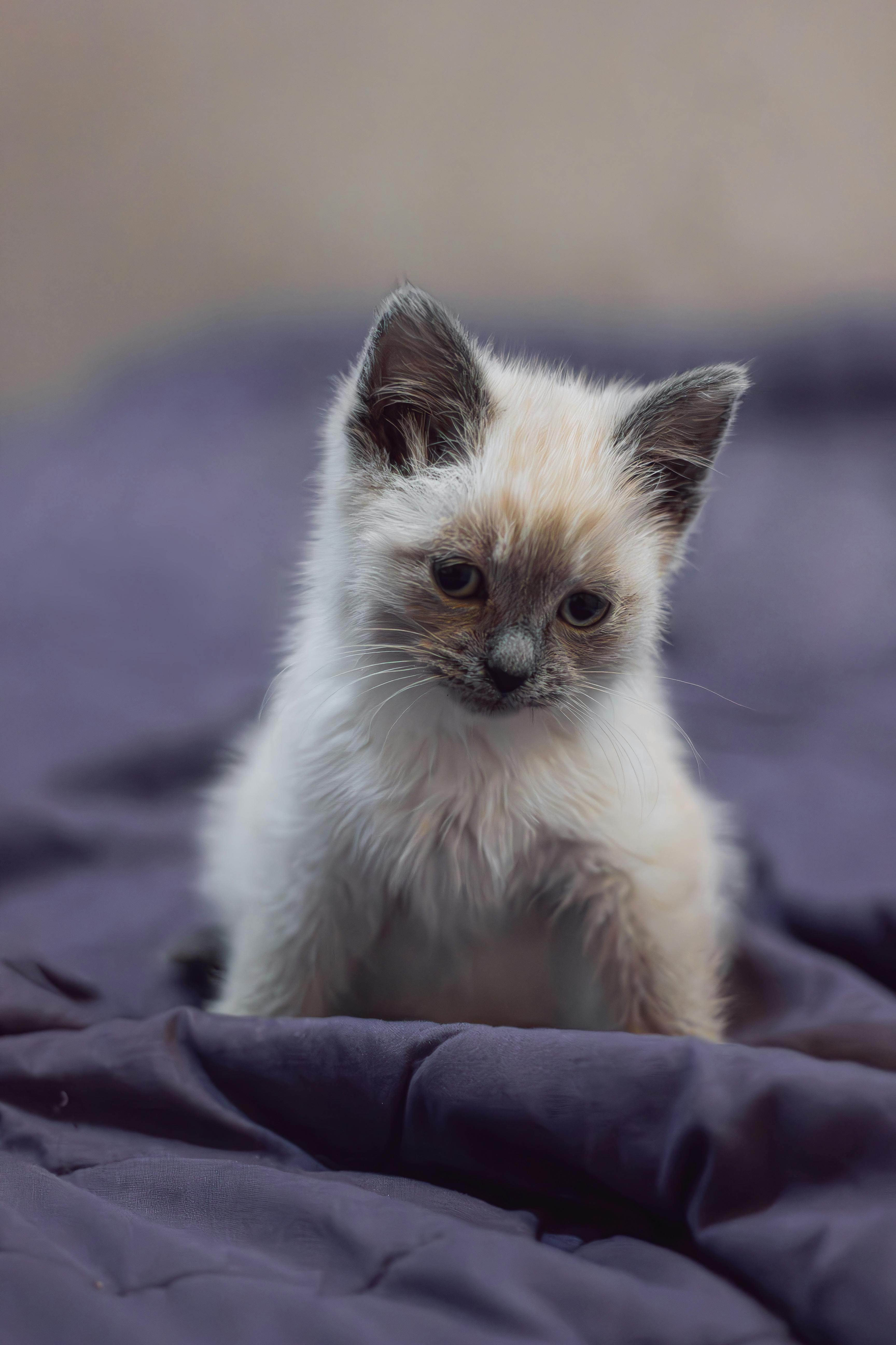 Outreach Für Internationale Märkte: Strategien Für Ihren Erfolg 7 So optimieren Sie Ihre E-Mail-Kampagnen für ein internationales Publikum