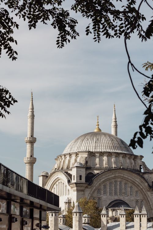 Free A picturesque mosque with minarets in Istanbul, framed by trees on a clear day. Stock Photo