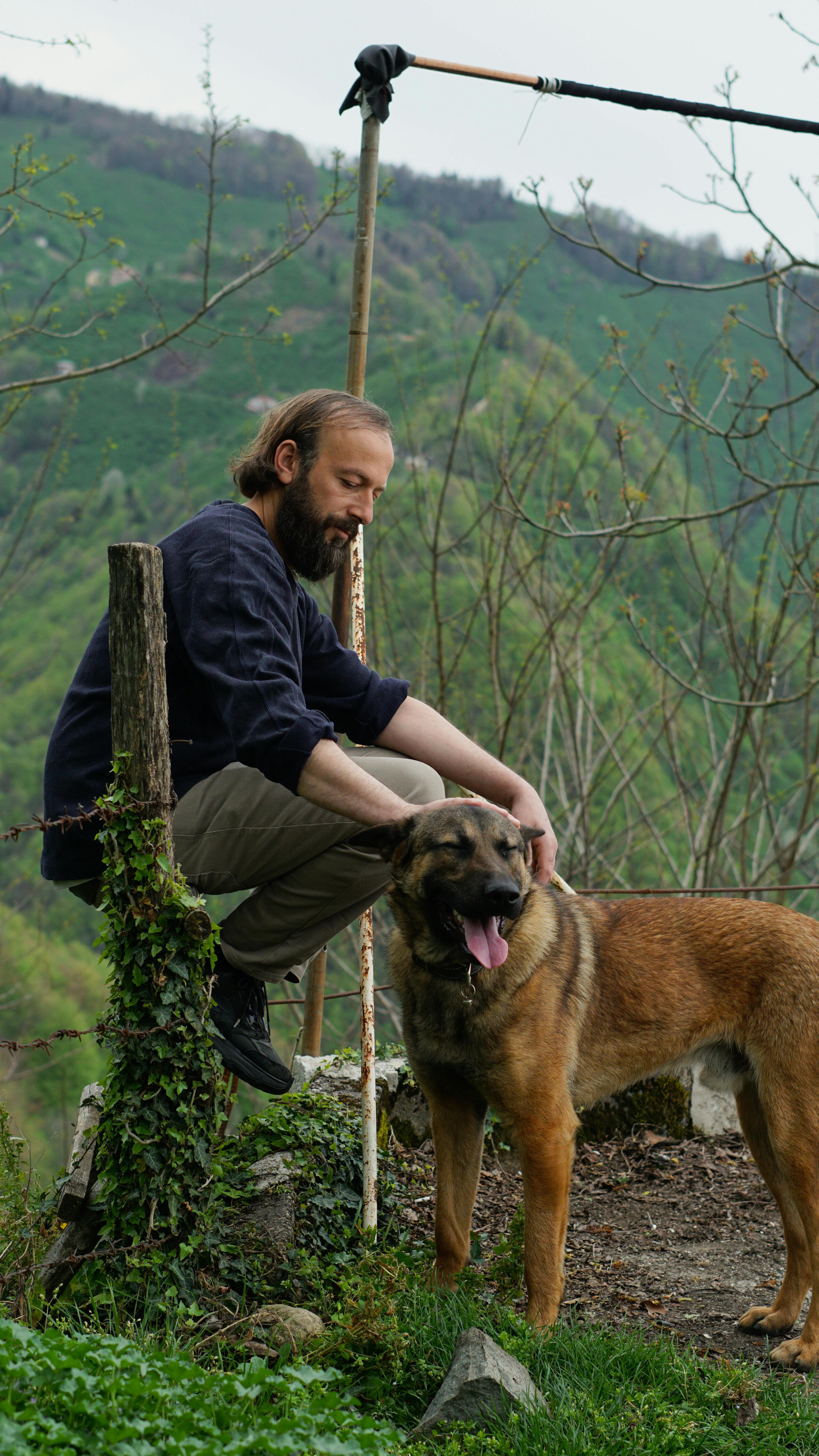 Why Dogs Lick Their Noses: The Connection Between Moisture and Canine Communication