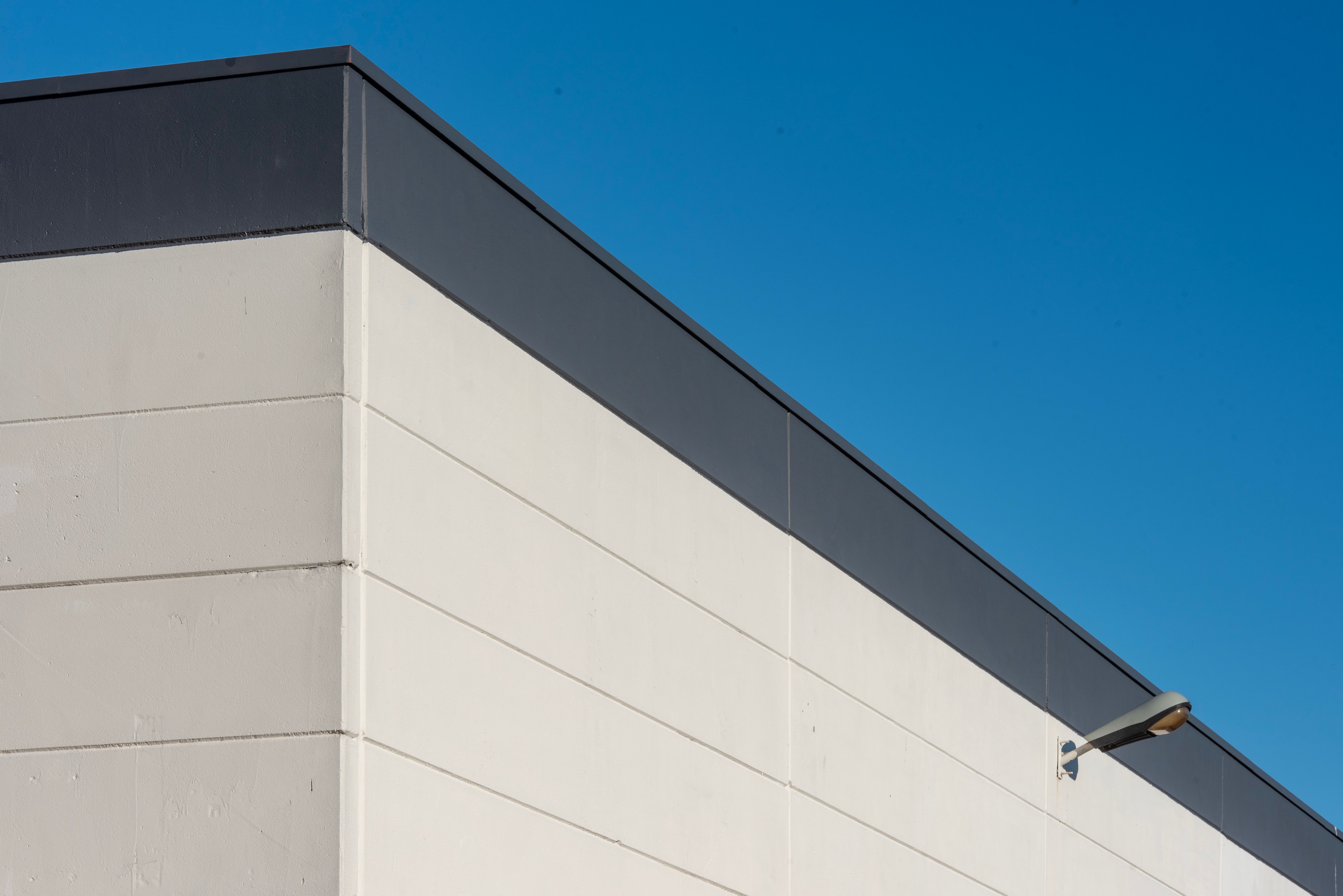 Painters and Decorators in Dulwich Village — walls rolled to an even, flat finish