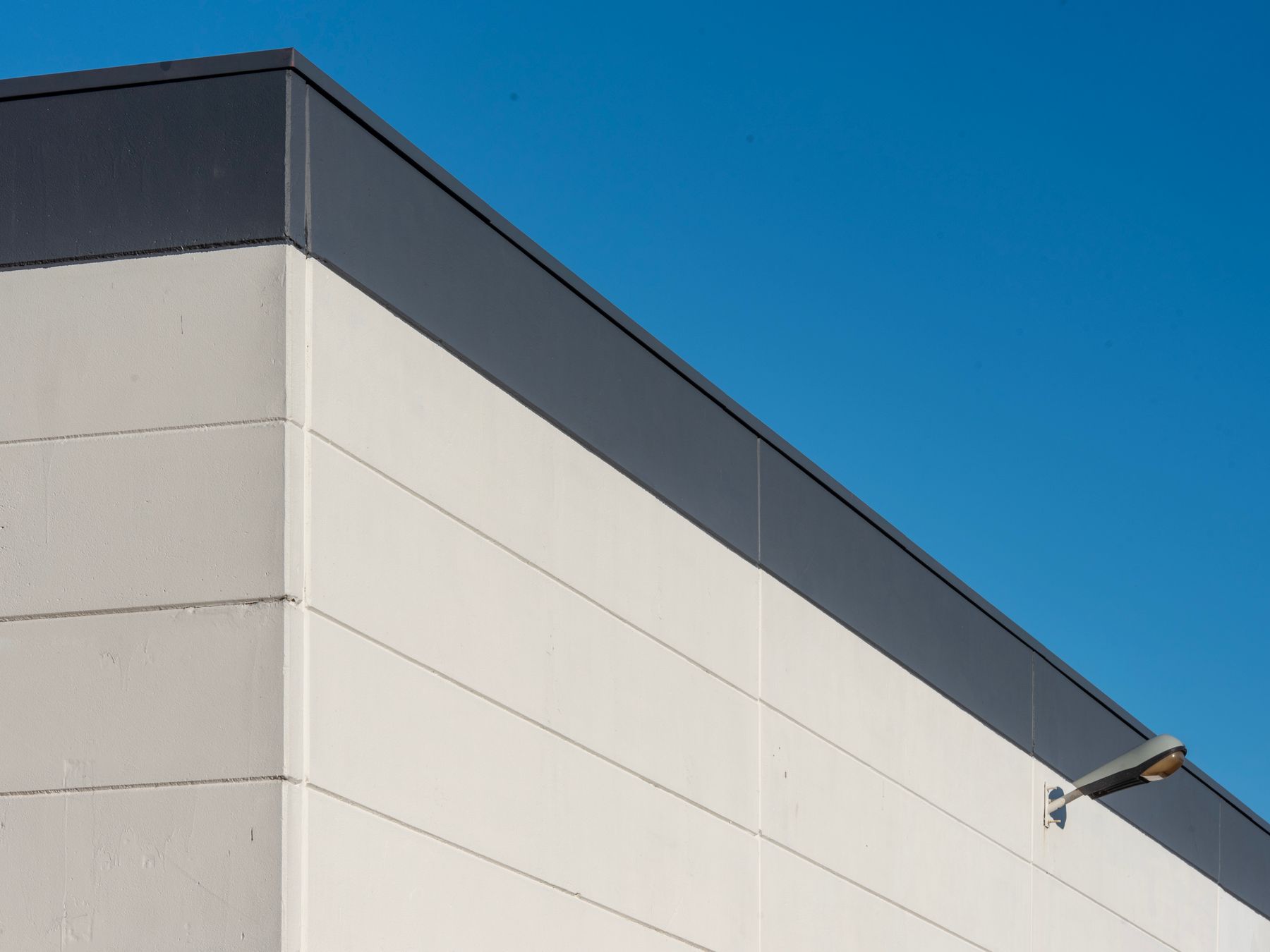 Painters and Decorators in Dulwich Village — walls rolled to an even, flat finish