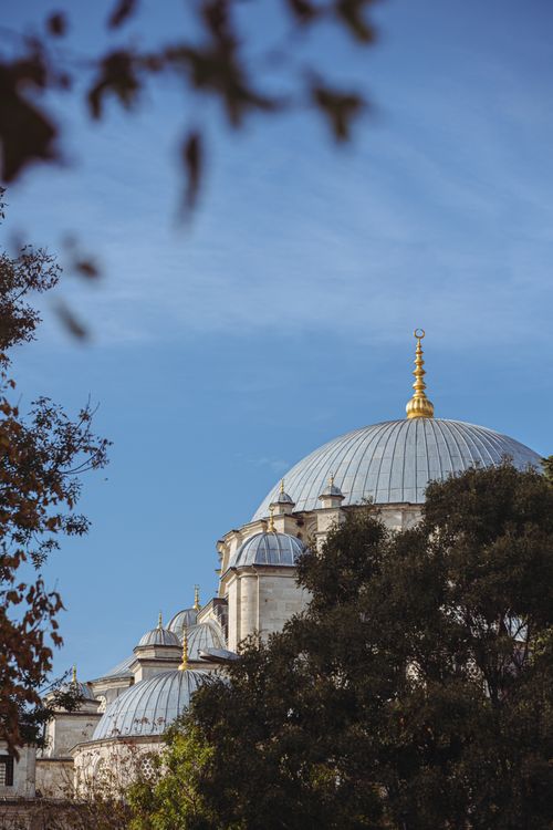 Free A scenic view of the domes of an Ottoman mosque under a clear blue sky in Istanbul, surrounded by trees. Stock Photo