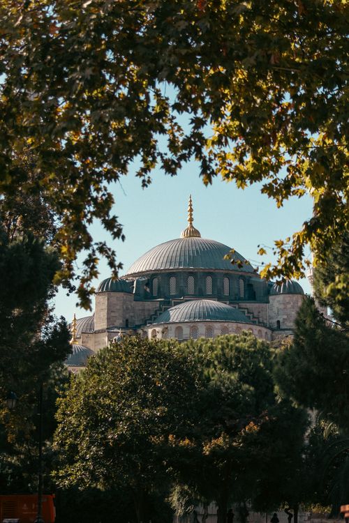Free View of Hagia Sophia through leaves in autumn sunlight, Istanbul. Stock Photo