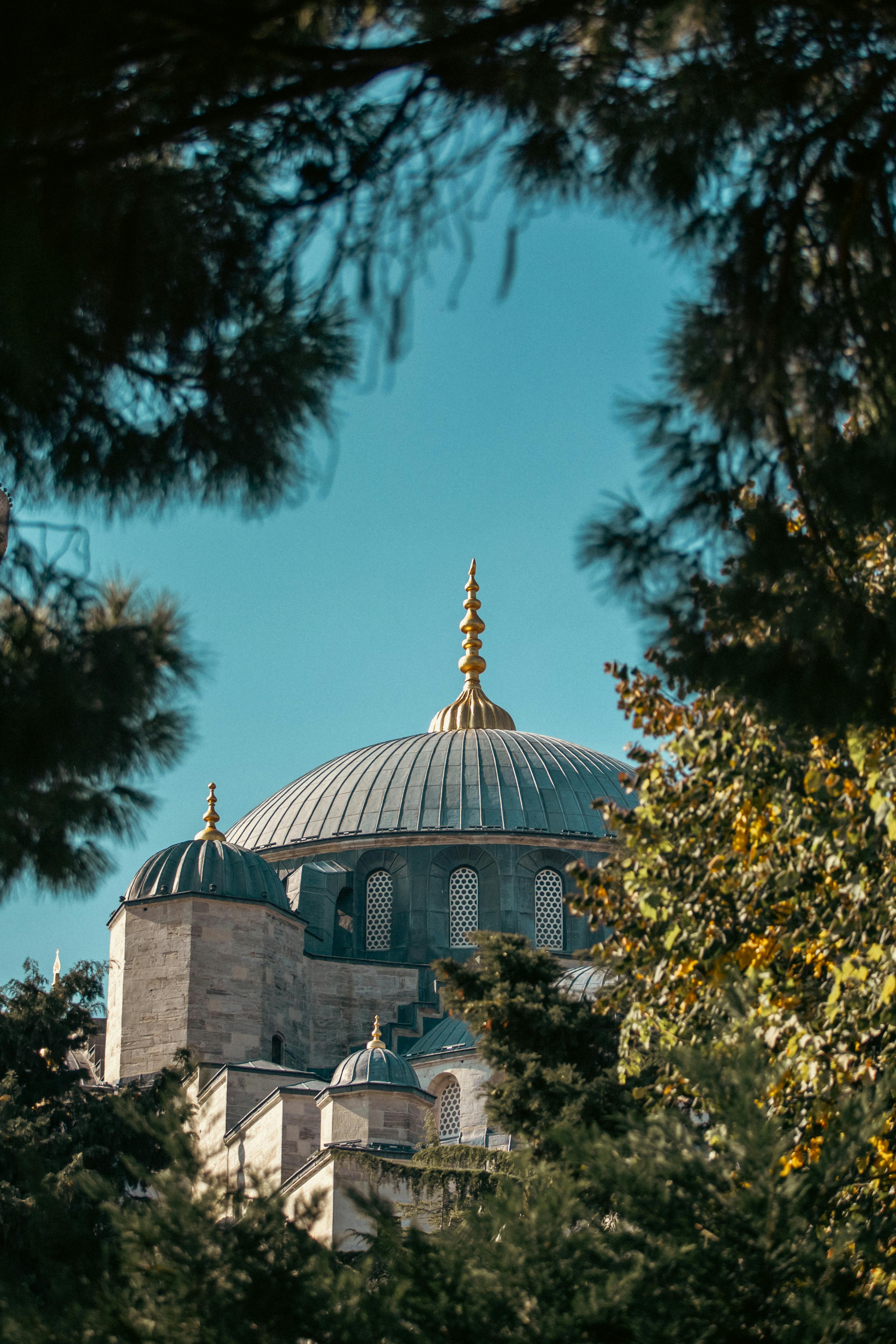 A beautiful view of a historic mosque dome framed by trees, capturing architectural elegance in Istanbul.