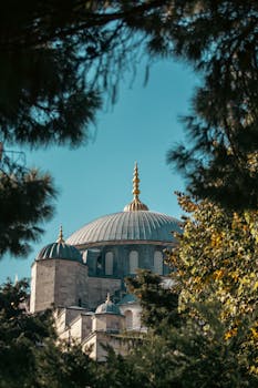 A beautiful view of a historic mosque dome framed by trees, capturing architectural elegance in Istanbul.