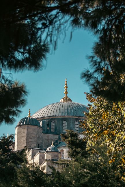 A beautiful view of a historic mosque dome framed by trees, capturing architectural elegance in Istanbul.