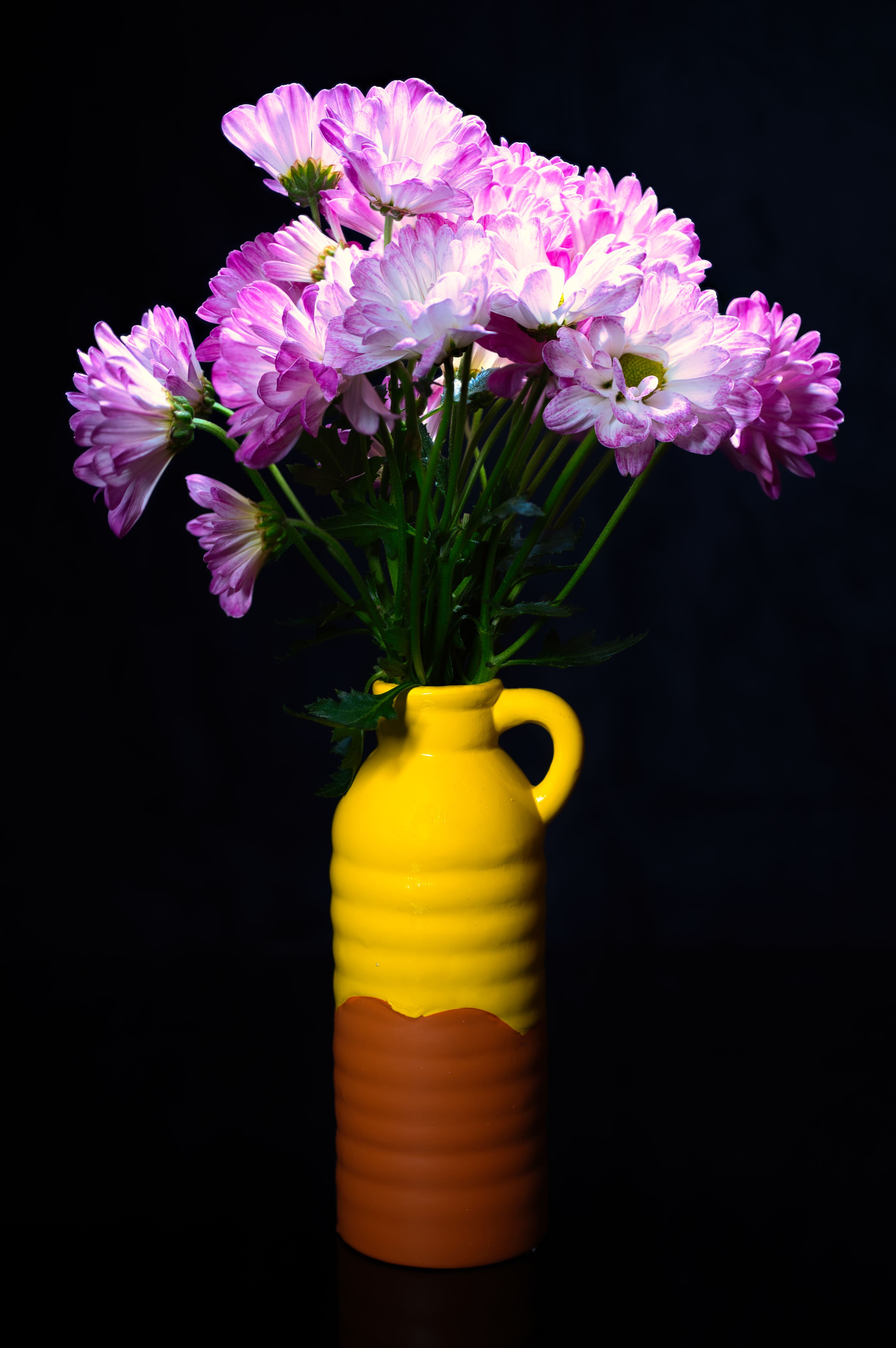 [ColoSach]-bright-pink-chrysanthemums-in-a-vibrant-yellow-vase-set-against-a-dark-background.