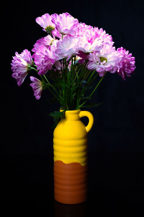 Free Bright pink chrysanthemums in a vibrant yellow vase set against a dark background. Stock Photo