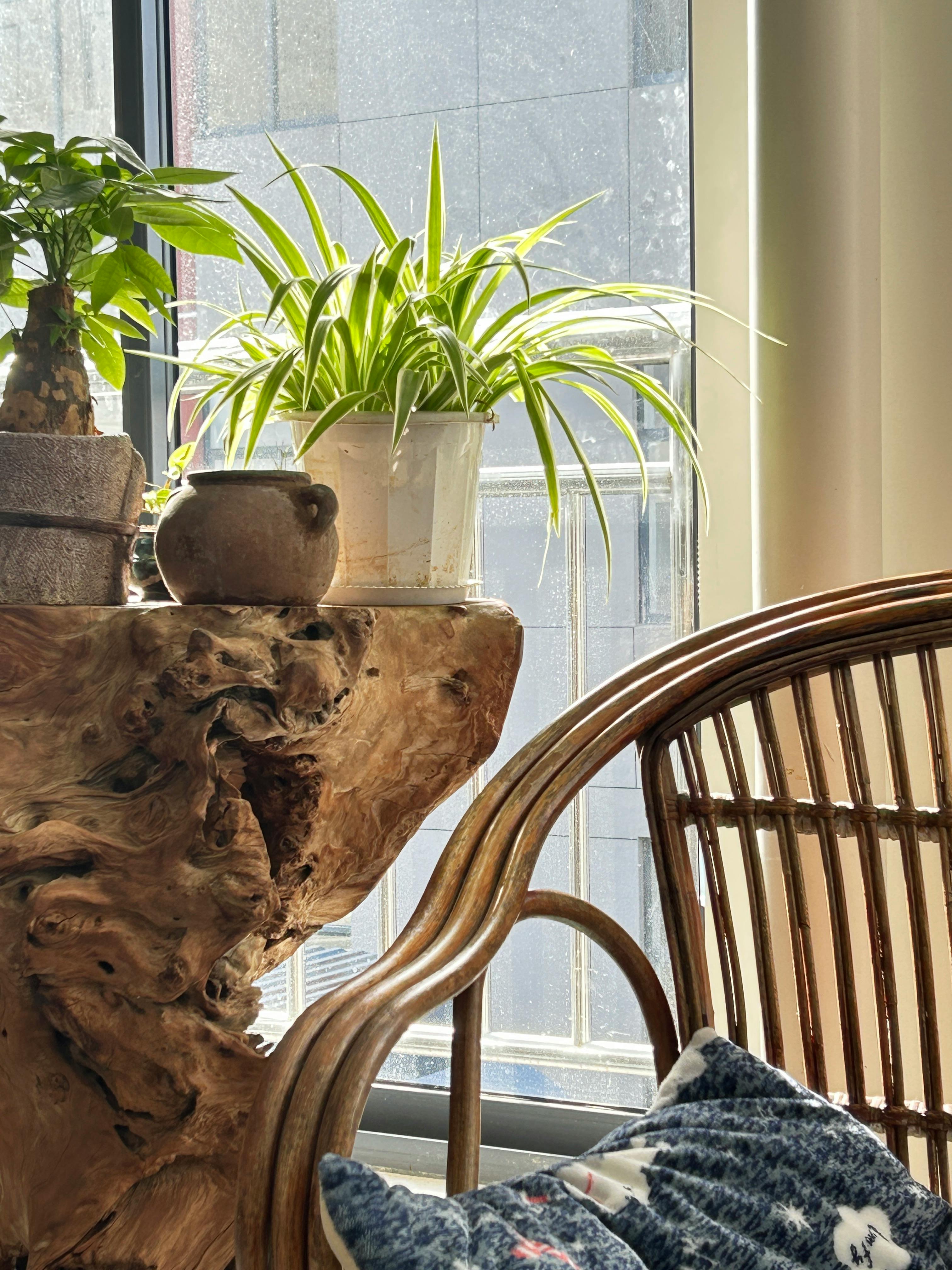 1-Zimmer Wohnung in Wolfenbüttel Ratgeber – Tipps, Vorteile & Beispiele