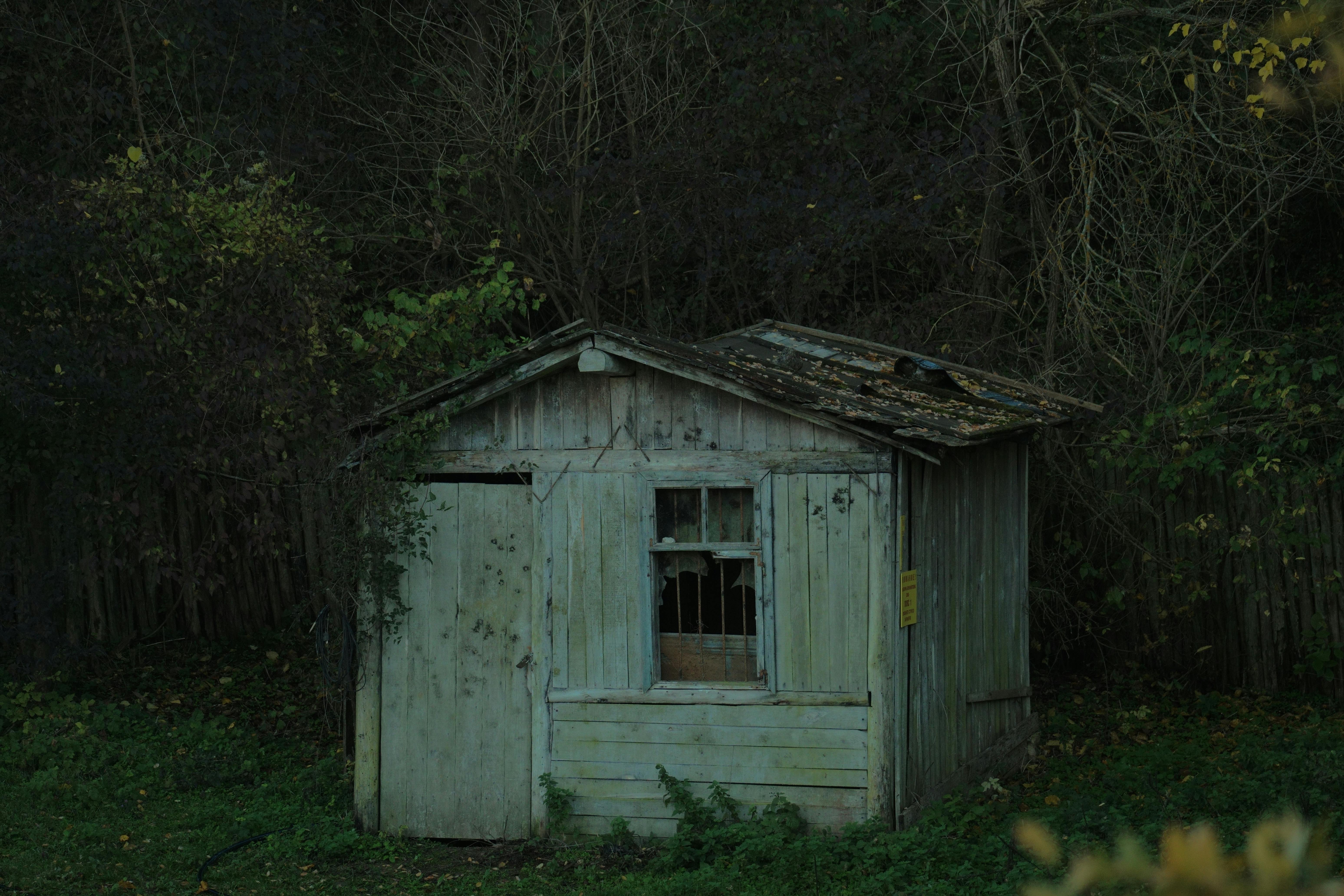 Doğada Nasıl Barınak Yapılır?