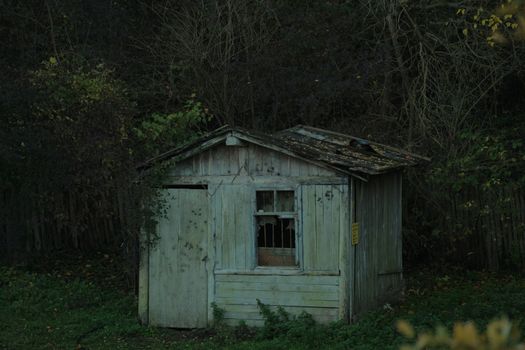 Should I Build a Shed from Scratch or Buy Prefab?