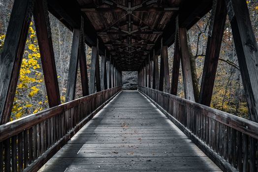 Explore a scenic wooden bridge covered with autumn leaves and warm hues.