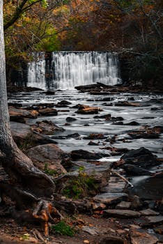 Peaceful waterfall cascading in a lush autumn forest scene, perfect for nature lovers.
