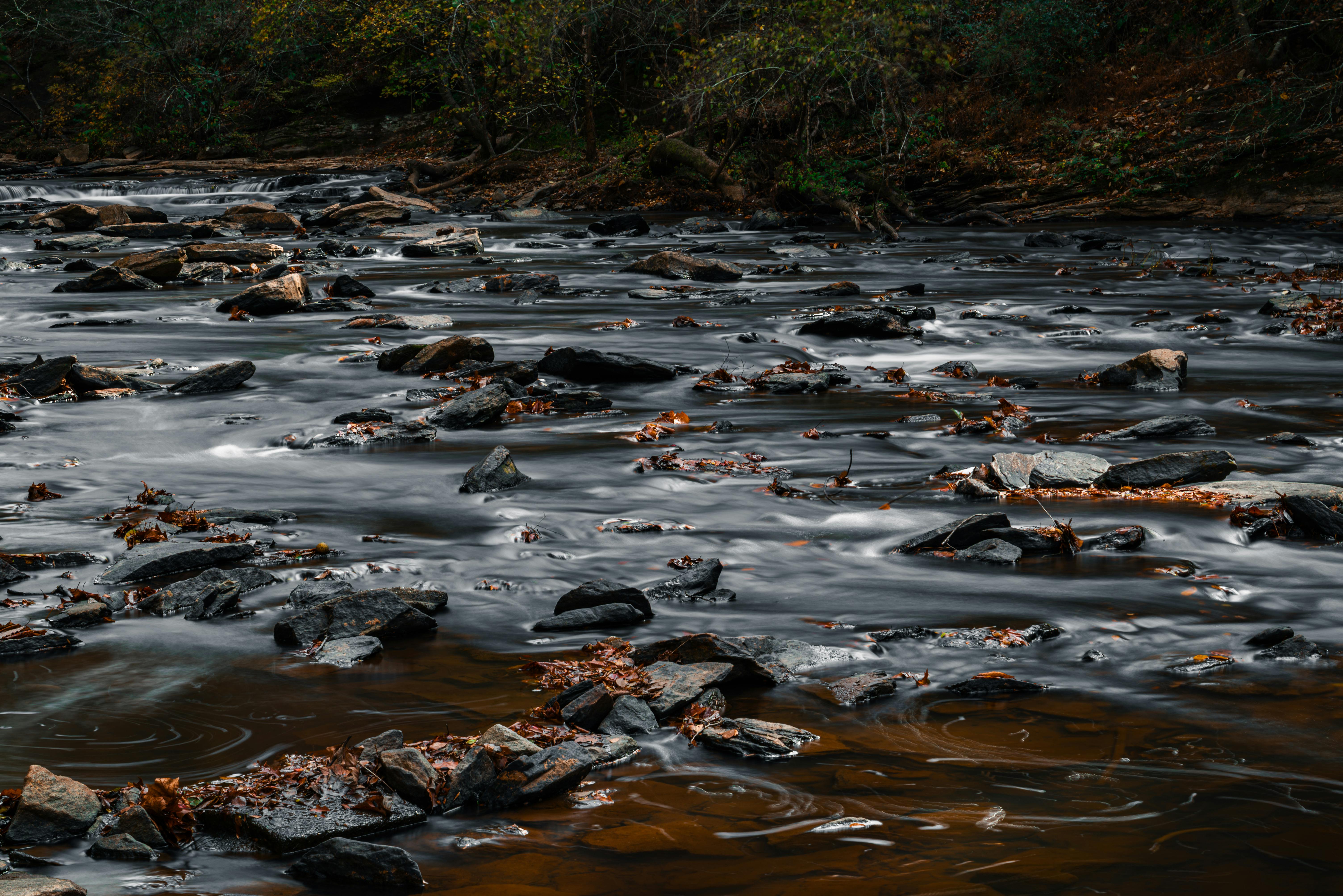 鄭伊佐倡導慢生活節奏 有效轉換壓力守護心血管健康