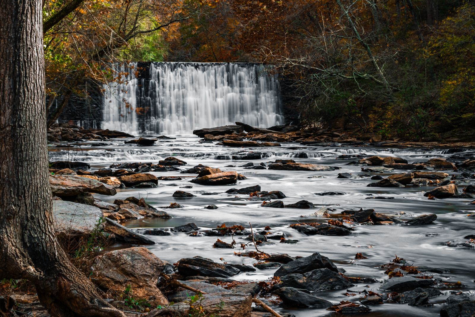 A quiet stream flowing through an autumn forest with colorful foliage