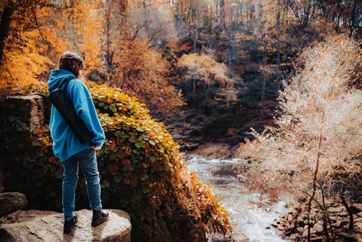 Young person explores the vibrant autumn forest with fallen leaves and a flowing stream.