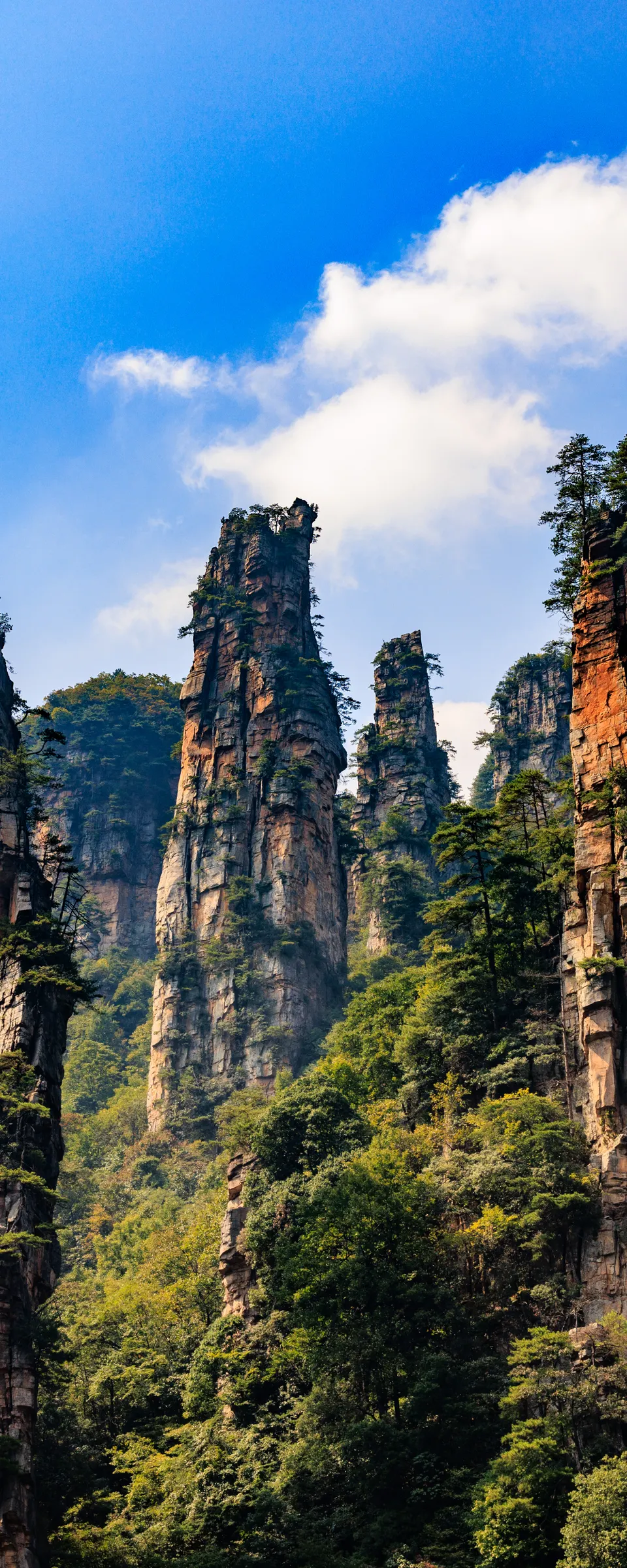 Private Zhangjiajie National Forest Park Day