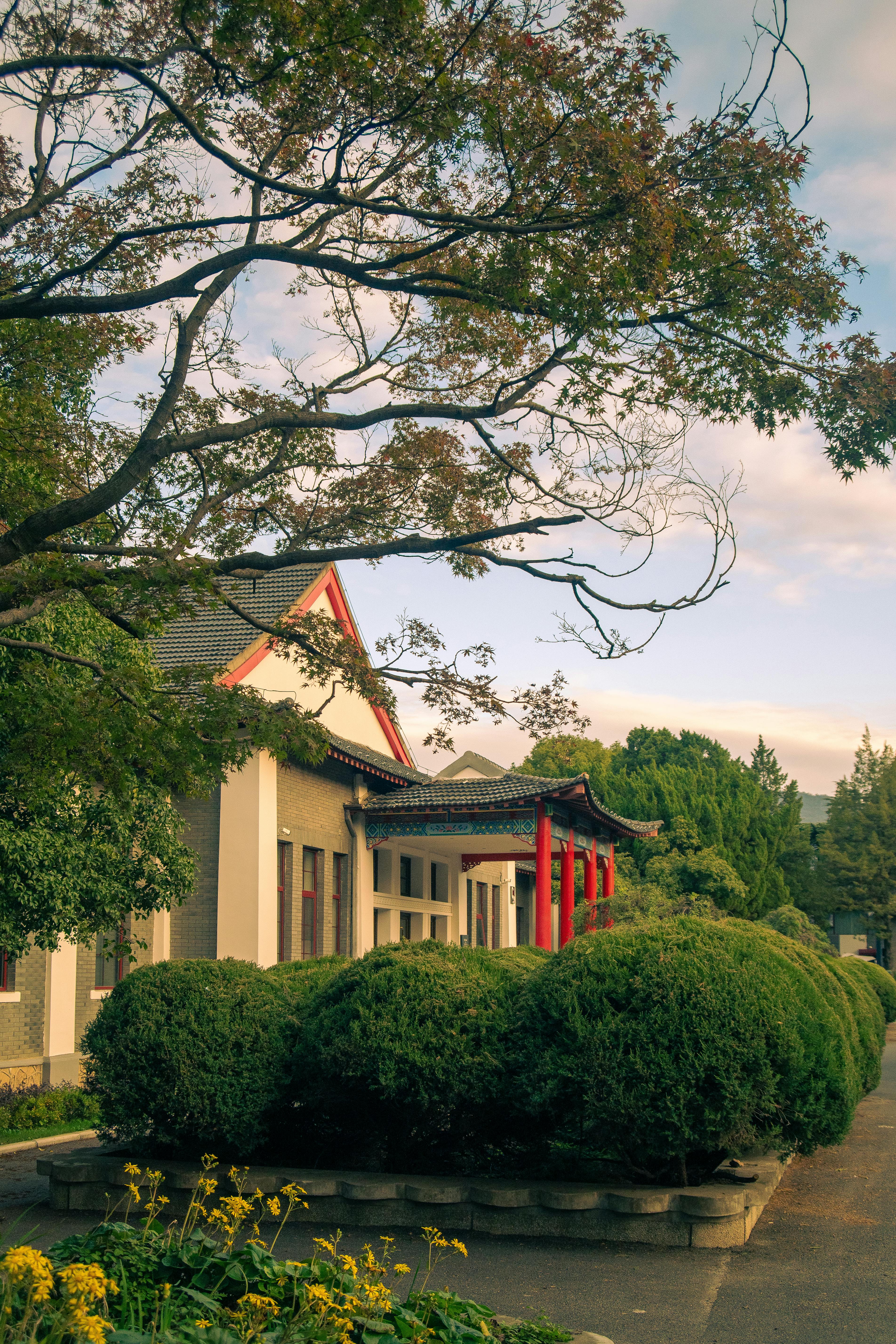 Elegant Traditional Building in Nanjing, China