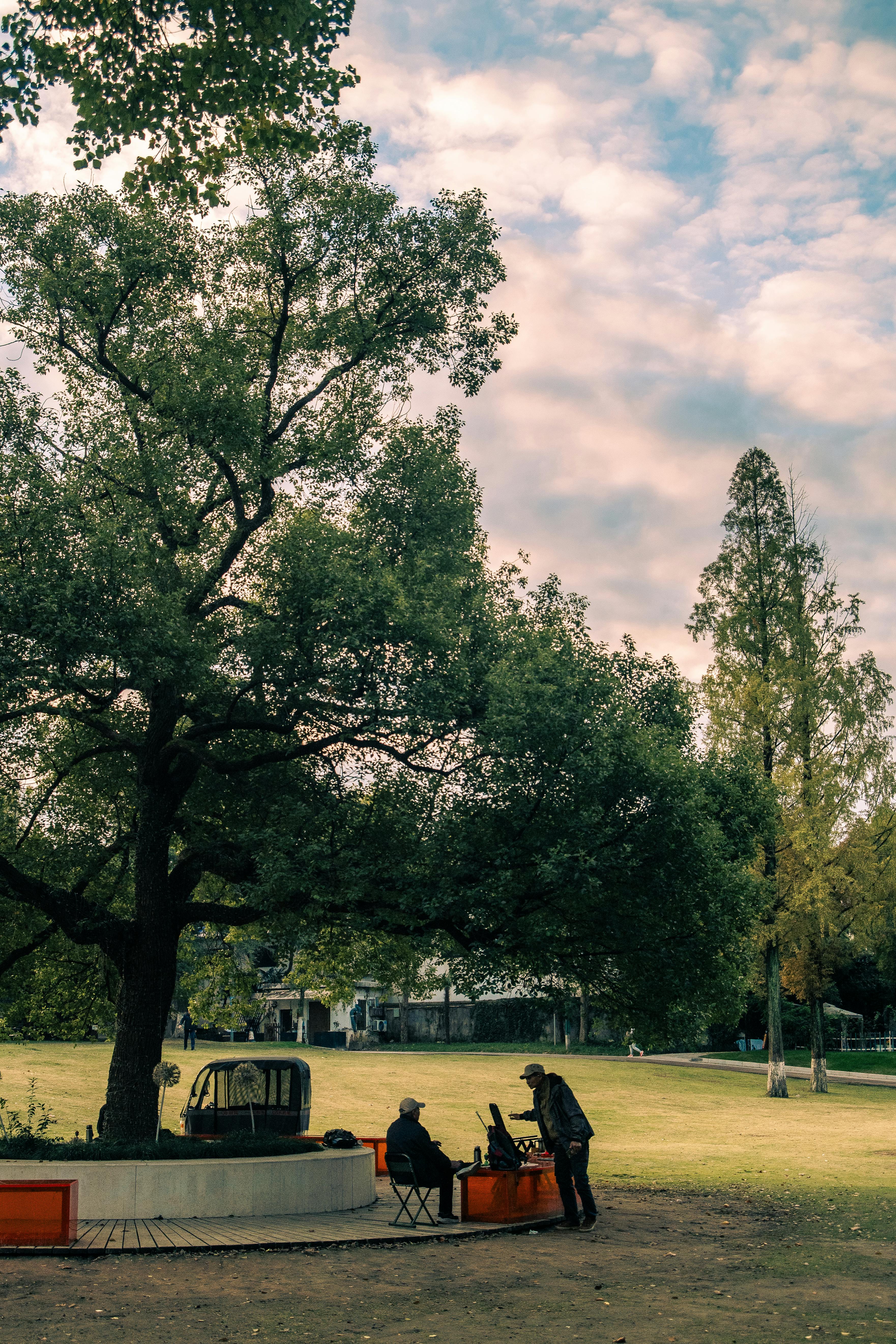 Two people relaxing under large trees in a Nanjing park, capturing a serene outdoor scene.