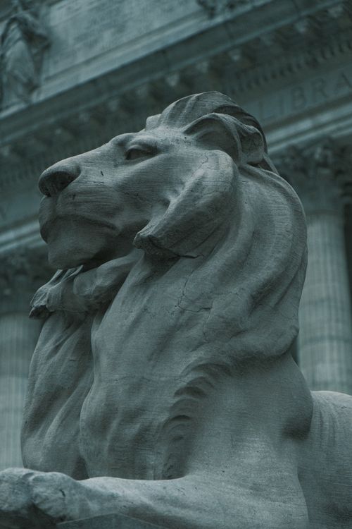 Free A detailed close-up of a majestic lion statue outside the New York Public Library. Stock Photo