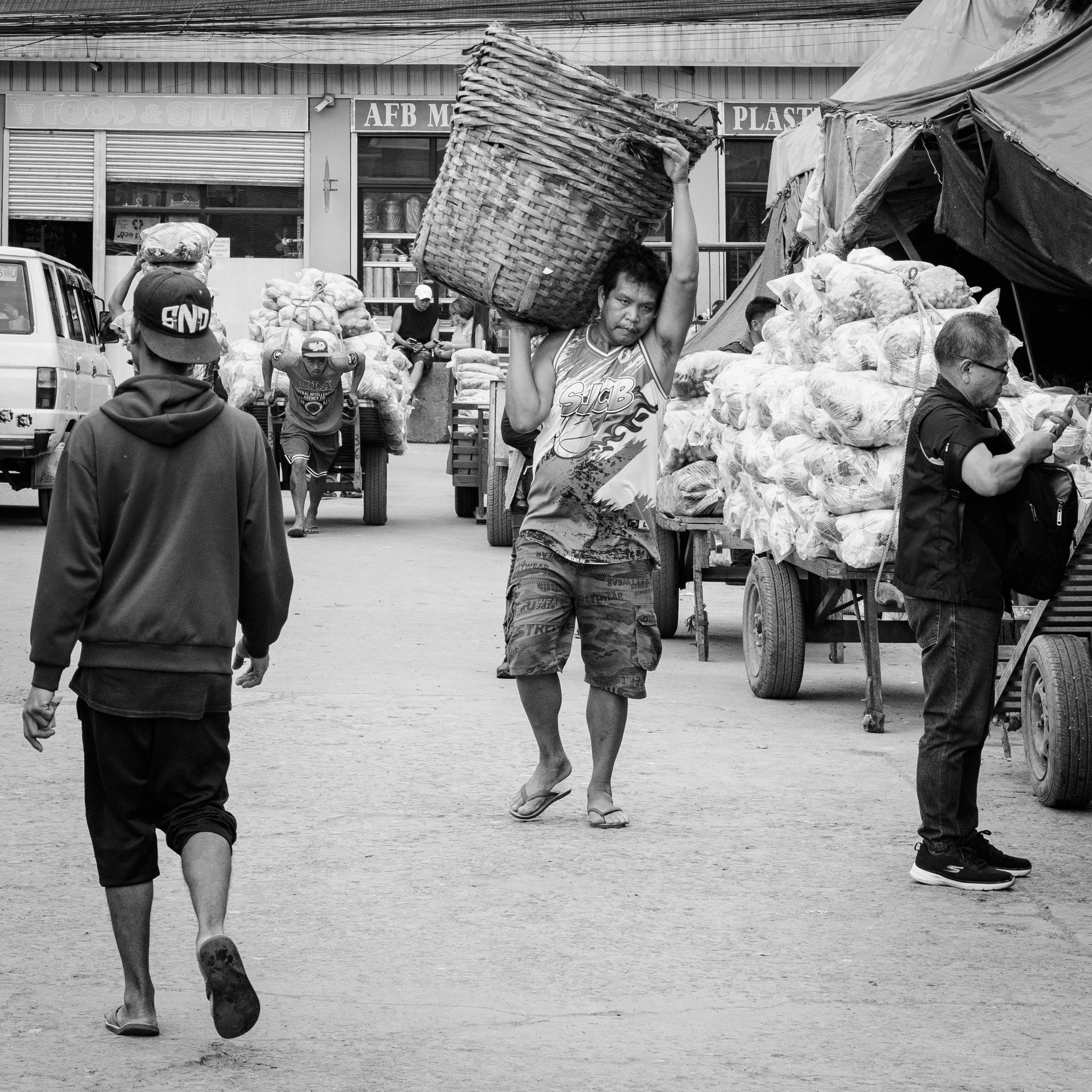 Representative cover image