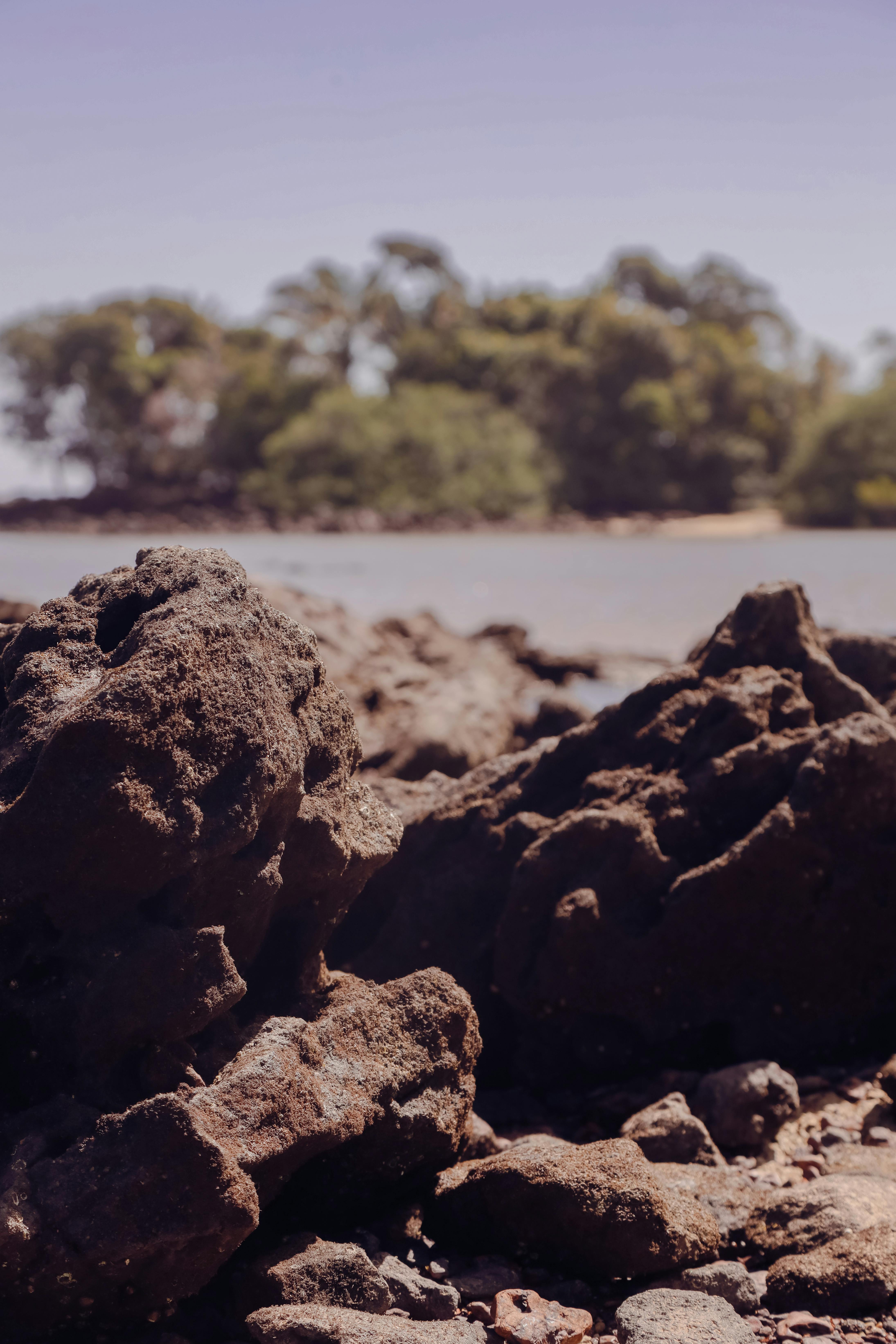 Tercer Pago De Pase-U 2025: ¿Cómo Asegurar Tu Beneficio? 1 Estrategias Efectivas para Maximizar el Tercer Pago de Pase-U 2025: ¡No Te Quedes Atrás!