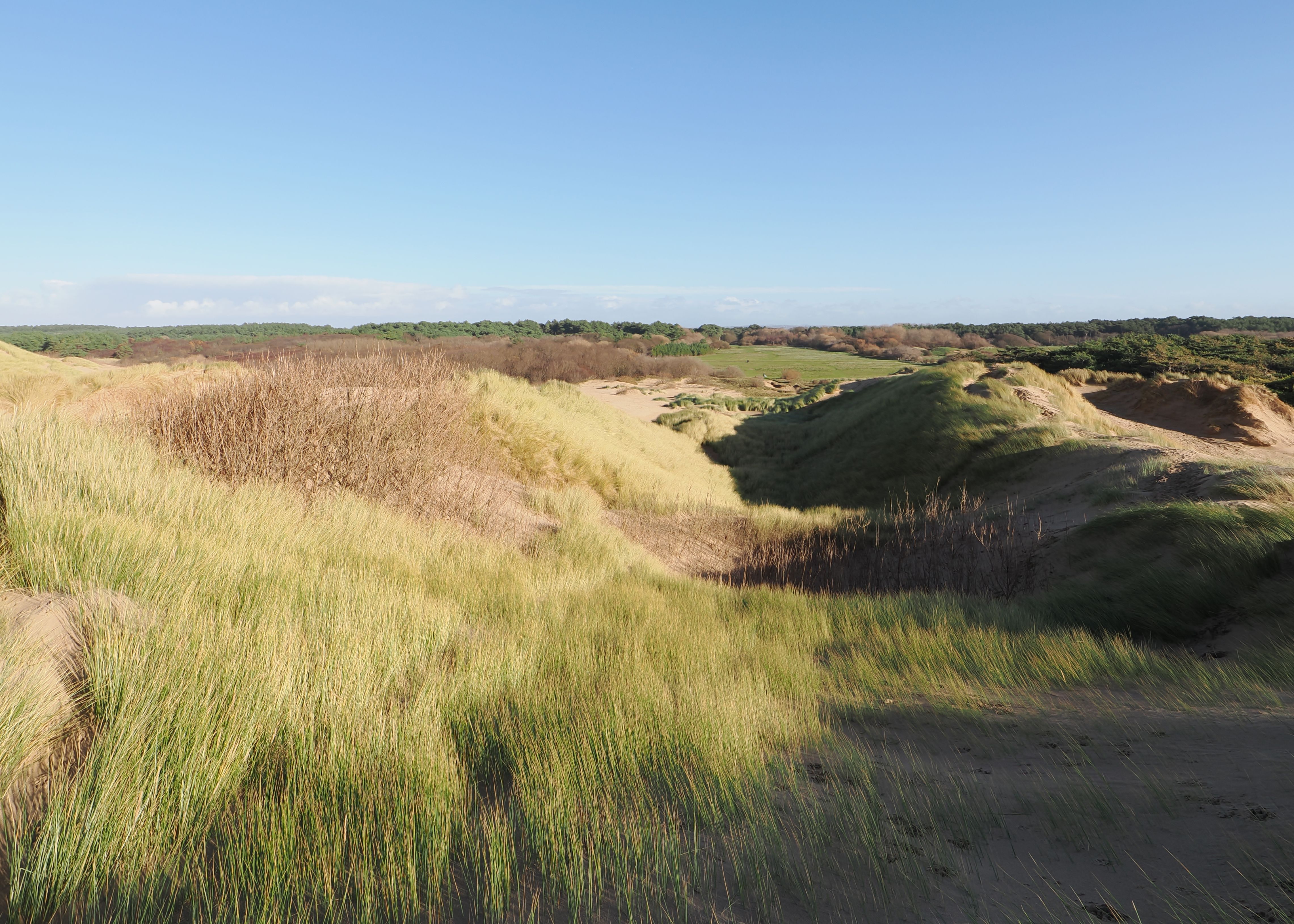 Oerd & Hon Nature Reserve