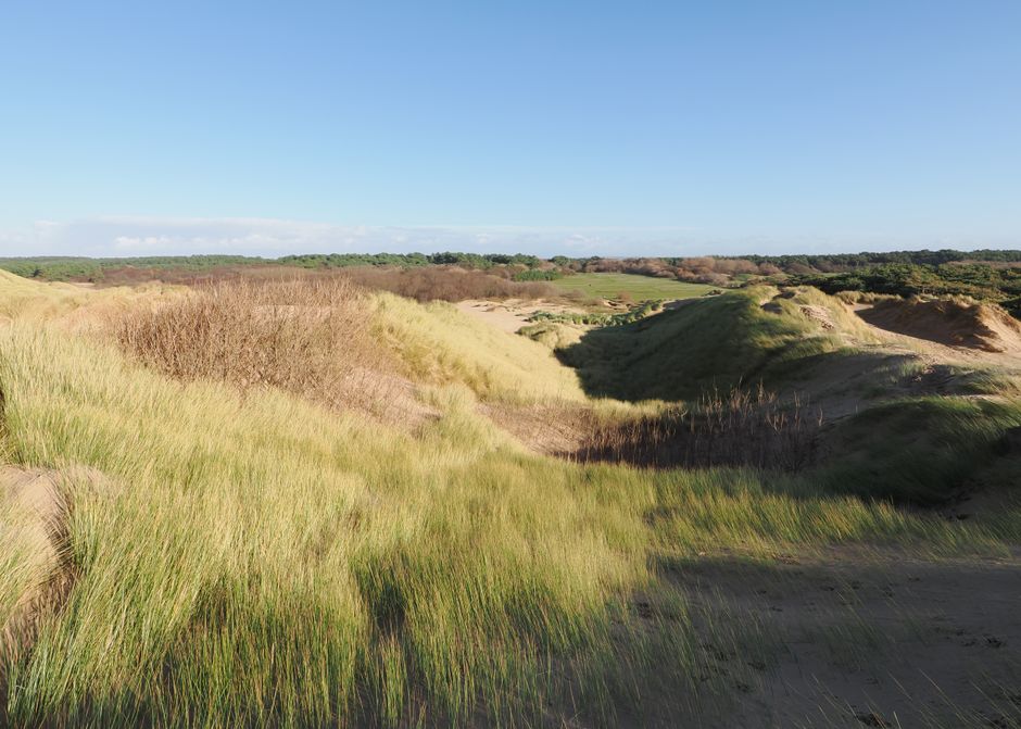 Murlough NNR — view 2