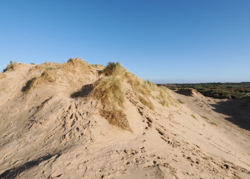 Free Sunny view of sandy dunes at Formby Beach with blue sky and grass. Stock Photo