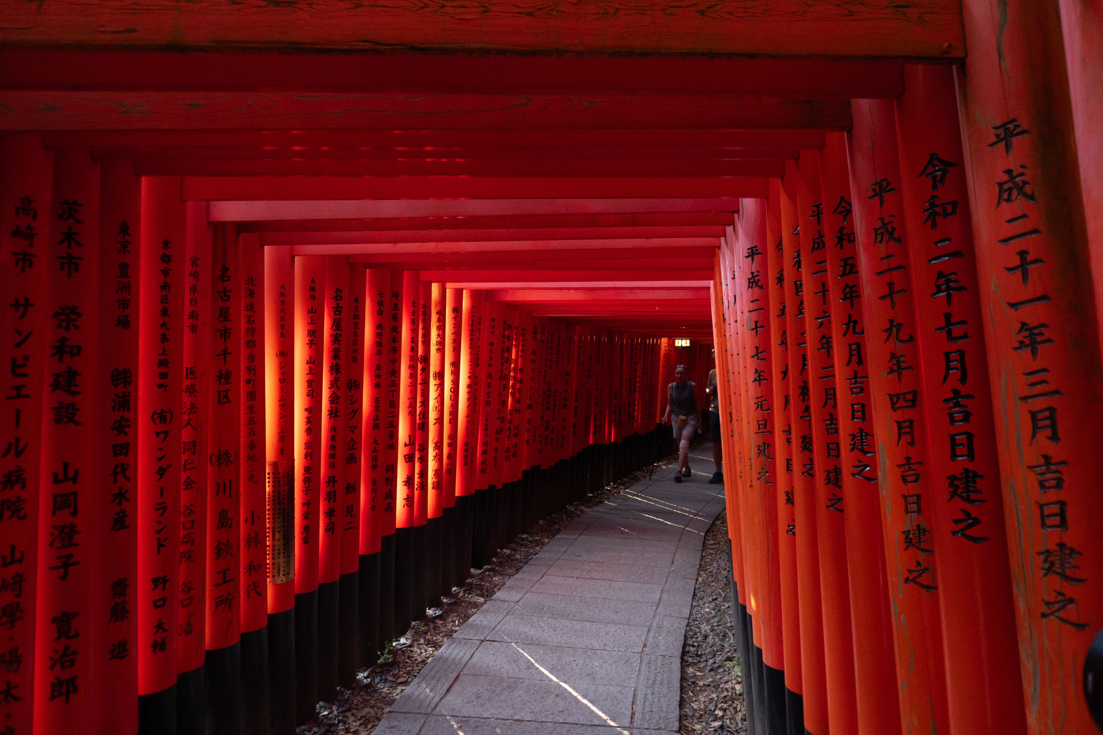 Fushimi Inari torii gates at dawn before the Kyoto crowds arrive