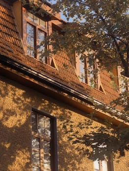 Elegant old building facade with sunlight filtering through autumn leaves, creating a warm, nostalgic atmosphere.
