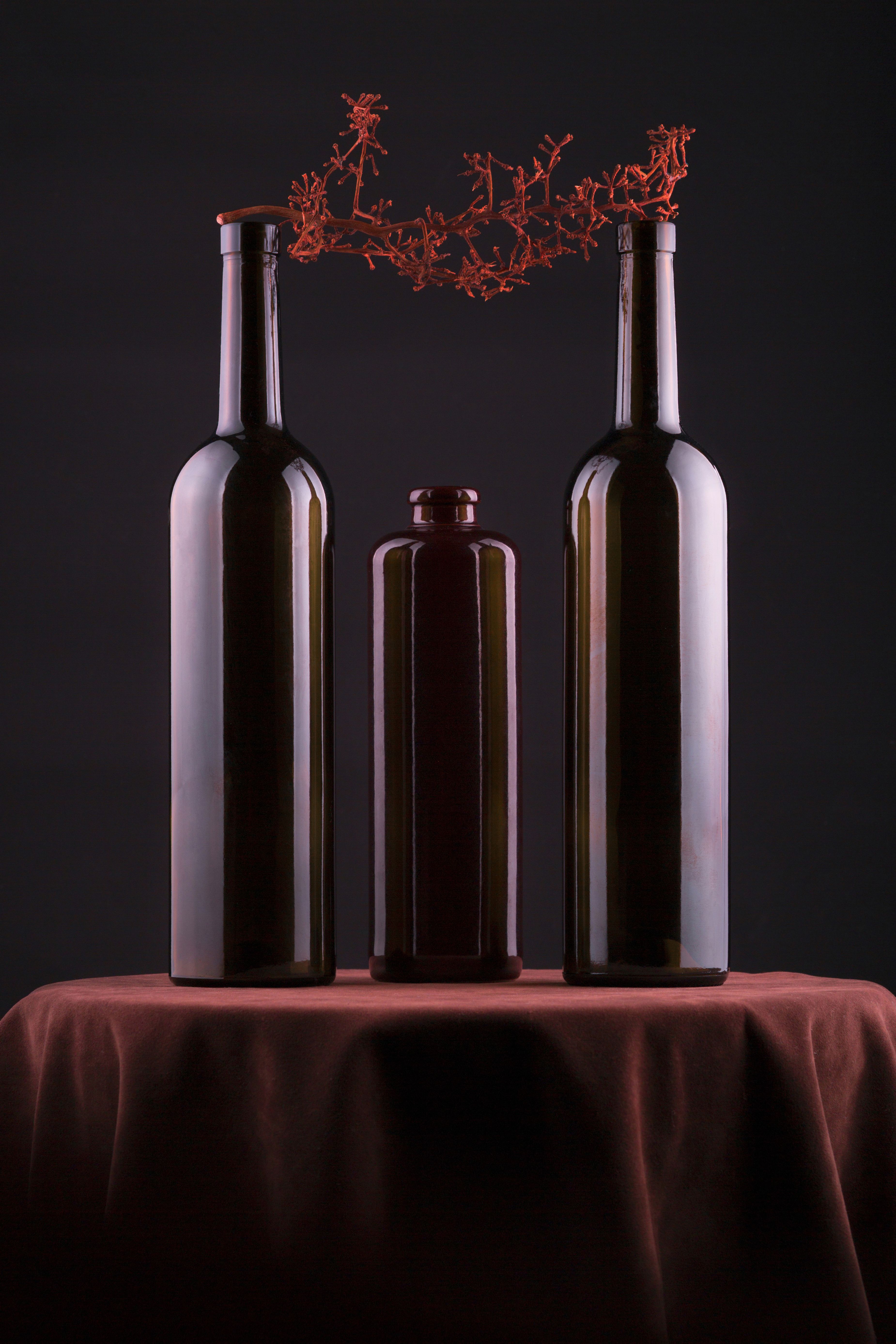 Three unlabelled dark wine bottles in a moody studio still life — photo by Valentin Ivantsov on Pexels