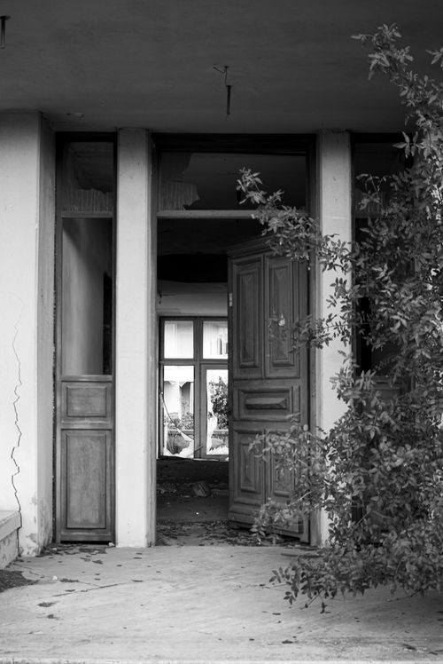 Free Black and white photo of an abandoned building with a partially open wooden door and overgrown plants. Stock Photo