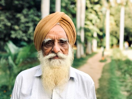 Free Portrait of an elderly Sikh man in traditional attire with a turban in a lush garden in New Delhi, India. Stock Photo