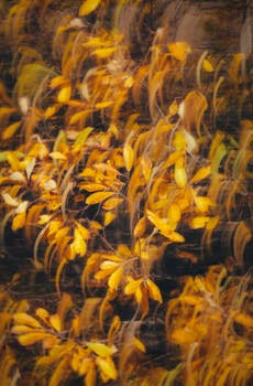 Artistic depiction of vibrant autumn leaves with a motion blur effect, showcasing warm seasonal colors.