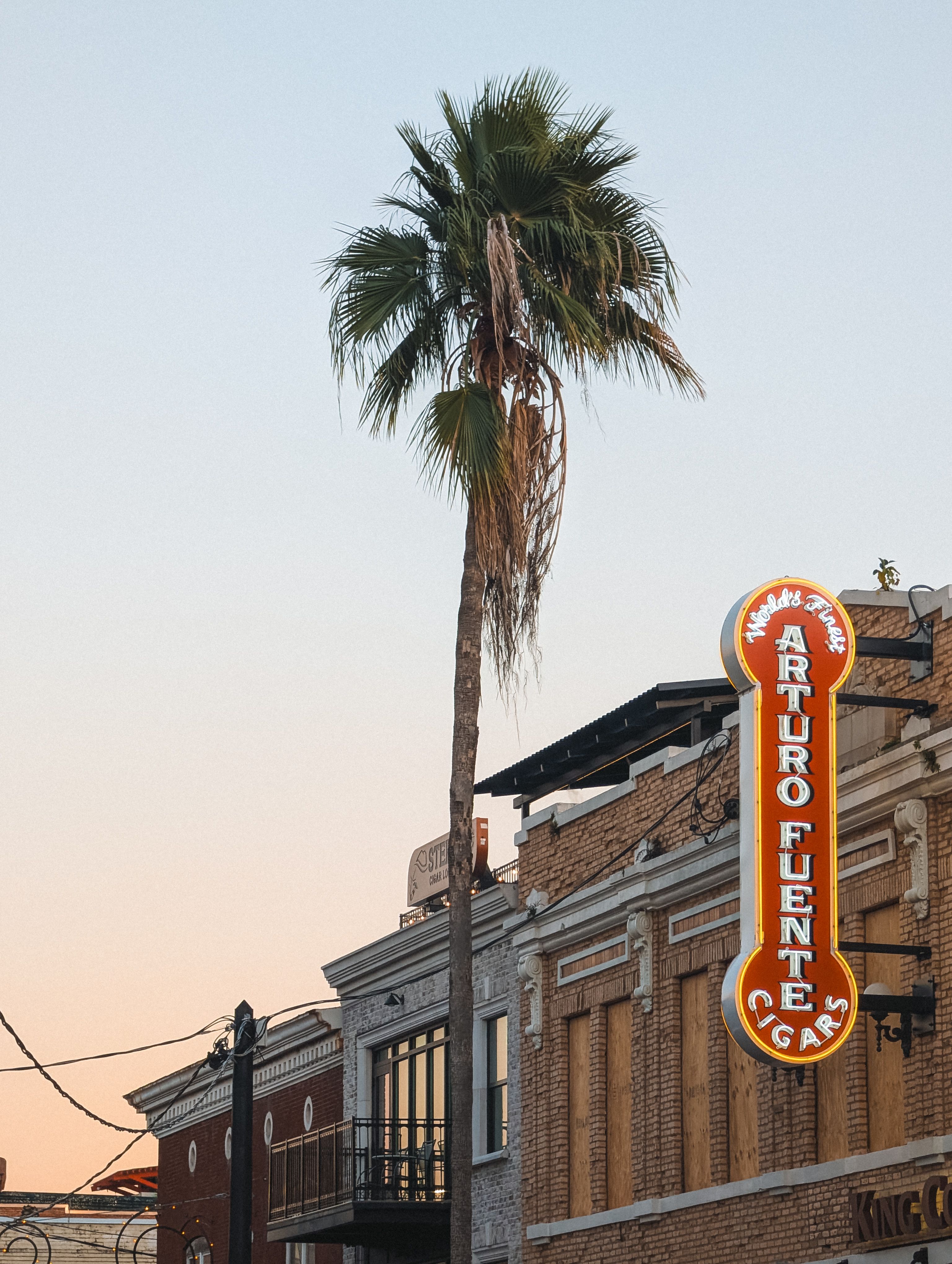 Arturo Fuente Cigars sign with palm tree at sunset in Tampa's historic district.